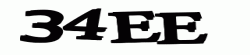 SSL2 CAPTCHA