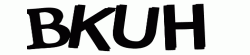 SSL2 CAPTCHA