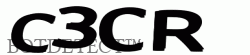 SSL2 CAPTCHA