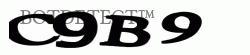 SSL2 CAPTCHA