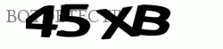 SSL2 CAPTCHA